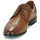 Cipők Férfi Oxford cipők Lloyd OSMOND Konyak