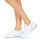 Cipők Női Rövid szárú edzőcipők Philipp Plein Sport KRISTEL Fehér