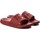 Cipők Női Lábujjközös papucsok Calvin Klein Jeans CHRISTIE JELLY Piros
